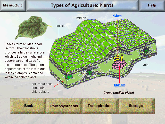 agriculture screenshot
